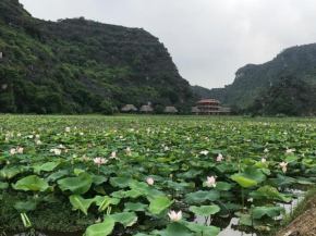 Гостиница Ninh Binh Panorama Homestay  Ninh Bình